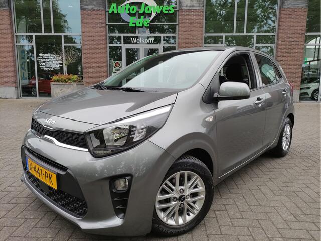 KIA PICANTO 1.0 DPi DynamicLine LMV - Achteruitrijcamera - Apple Carplay - Bluetooth - DAB - Allseason banden