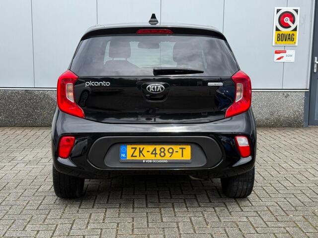 KIA PICANTO 1.0 CVVT Design Ed. | Leer | Carplay | Achteruitrijcamera | Navi