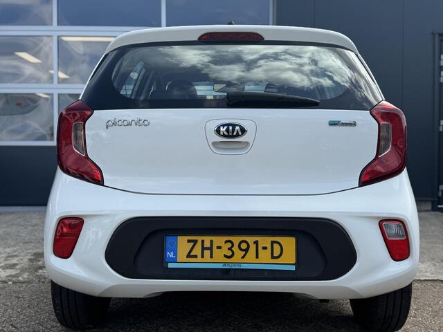 KIA PICANTO 1.0 CVVT EconomyPlusLine - 5 Drs - Lichtmetalen Velgen - Airco