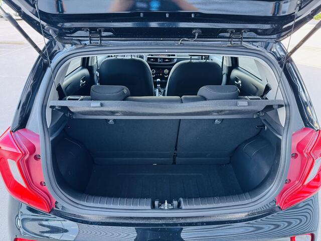 KIA PICANTO 1.0 DPi Dynamicplus Privacyglass | Climate Control | Cruise Control | Navi | Camera