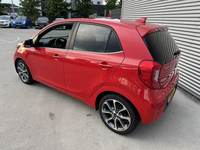 KIA PICANTO 1.0 Design Edition Privacyglass | Cruise | Navi | Clima | Leder