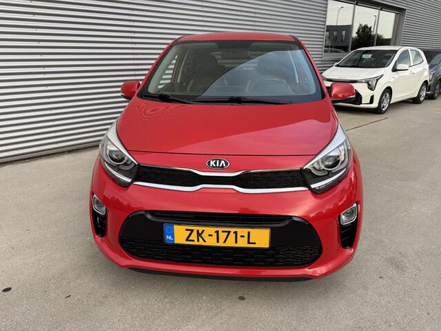KIA PICANTO 1.0 Design Edition Privacyglass | Cruise | Navi | Clima | Leder