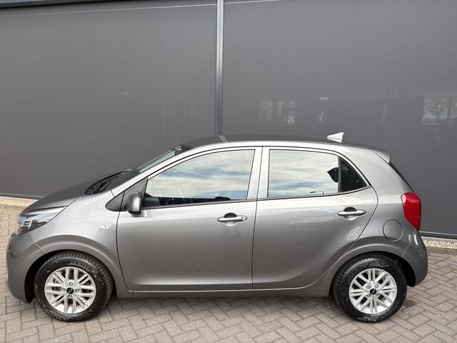 KIA PICANTO 1.0 DPi DynamicLine Achteruitrijcamera - Apple carplay - Airco - Cruise control - Licht metalen velgen 14 inch - Bluetooth - Radio - Start/stop systeem - Stuur multifunctioneel - Navigatie