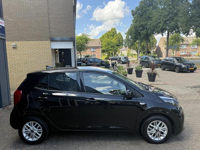 KIA PICANTO 1.0 DPi DynamicLine / Airco/ Apple carplay/ Cruise/ Camera/ LMV
