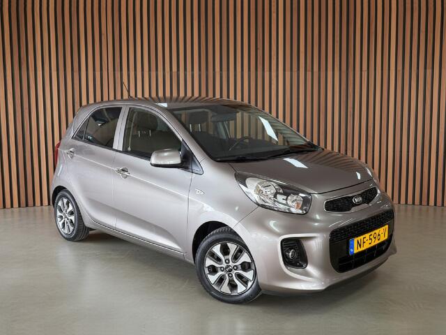 KIA PICANTO 1.0 CVVT ComfortPlusLine Navigator | Camera | Navigatie | Trekhaak.