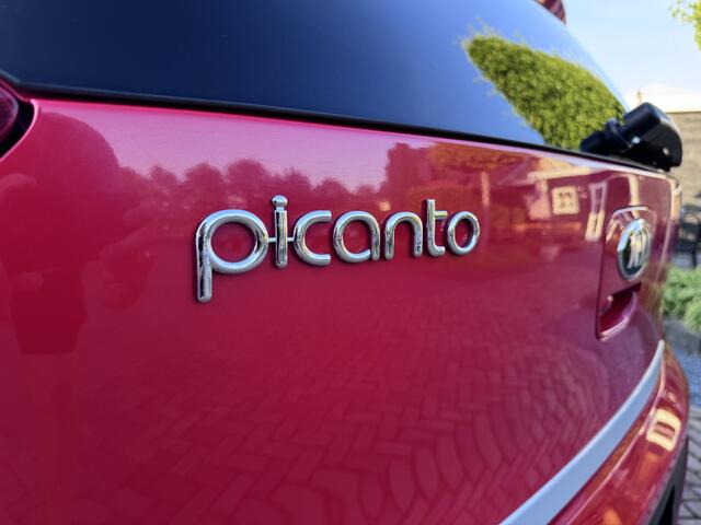 KIA PICANTO 1.0 CVVT Design Edition | Carplay | Leer | Uniek!!