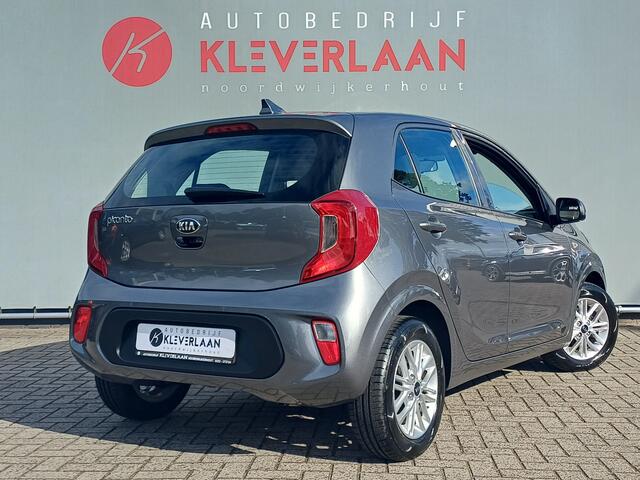 KIA PICANTO 1.0 DPi DynamicLine | CAMERA | NAVI | APPLE CARPLAY/ ANDROID AUTO | Wij bieden financiering mogelijkheden aan.
