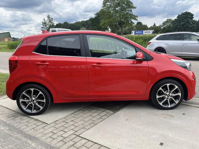 KIA PICANTO 1.0 CVVT Design Edition / Parkeer Camera / Navigatie / Climate / Cruise /