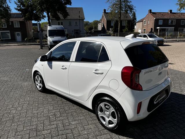 KIA PICANTO 1.0 5 zits DynamicLine | Navigatie | Camera | Winterpakket