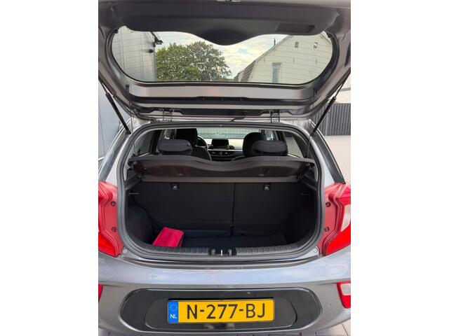 KIA PICANTO 1.0 DPi DynamicPlusLine / Camera / Navi / Apple Carplay / Cruise