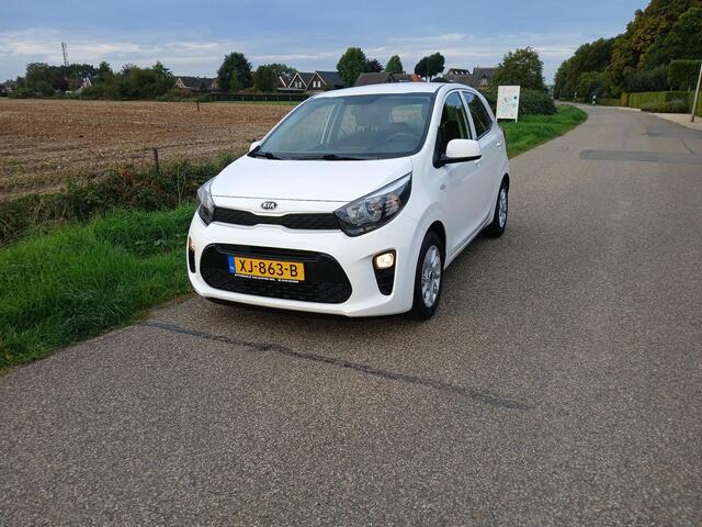 KIA PICANTO 1.0 CVVT EconomyPlusLine + Lichtmetalen velgen. – foto 2