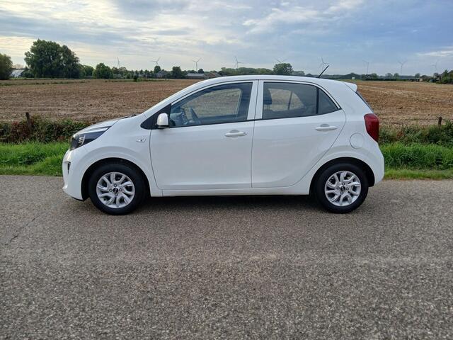 KIA PICANTO 1.0 CVVT EconomyPlusLine + Lichtmetalen velgen. – foto 3