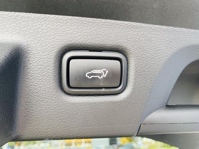 KIA PRO CEE D ProCeed 1.5 T-GDi GT-Line Trekhaak | Clima | Cruise | Navi | 160 pk | 1400 kg trekgewicht !