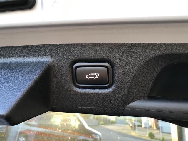 KIA PRO CEE D ProCeed 1.6 GT 204PK Panoramadak 7 JAAR GARANTIE