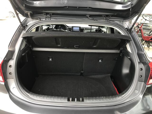 KIA RIO 1.0 TGDI DynamicLine goed onderhouden