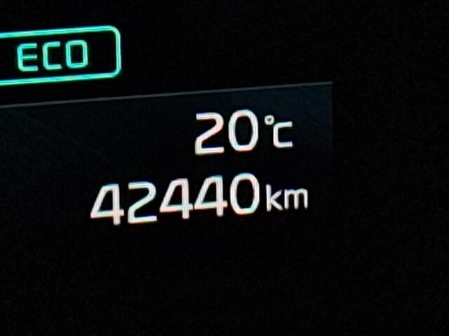 KIA Stonic 1.0 T-GDi MHEV DynamicLine|Trekhaak