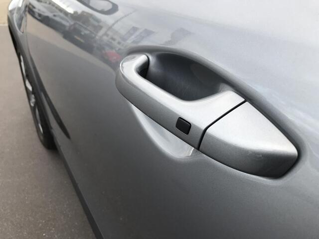 KIA Xceed 1.6 PHEV DynamicPlusLine Trekhaak