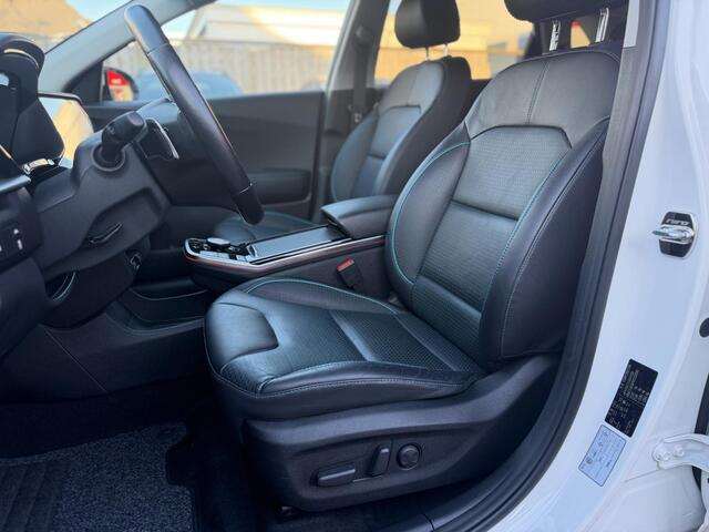 KIA e-Niro Executive 64 kWh VOL OPTIES