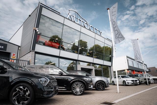 KIA e-Niro ExecutiveLine 64 kWh 100% SOH! l 3 Fase l Warmtepomp l Leder