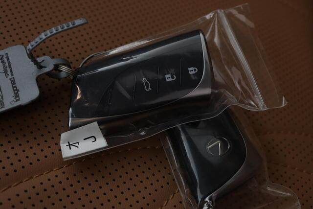 Lexus Es 300h President Line | Nieuw! | Uit voorraad leverbaar! | Mark Levinson | Hyper Chroom velgen | Rondomzichtcamera