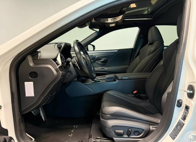 Lexus Es 300h F Sport Premium | Mark-Levinson | Carplay | Sunroof |