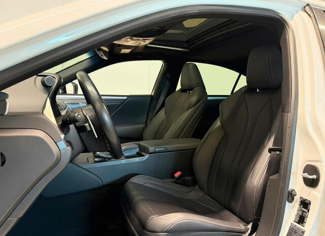 Lexus Es 300h F Sport Premium | Mark-Levinson | Carplay | Sunroof |