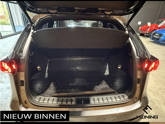 Lexus NX 300h AWD F F SPORT Line 4x4. Navi. Apple-carplay. Panoramadak. Trekhaak.
