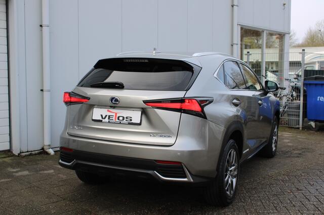 Lexus NX NX300h AWD Business Line