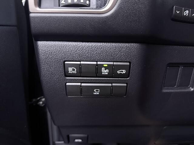 Lexus NX LEXUS NX300H President Line | Mark Levinson Audio |