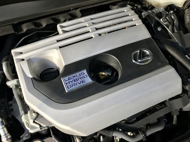 Lexus Ux 250h Premium Edition Rijklaarprijs!