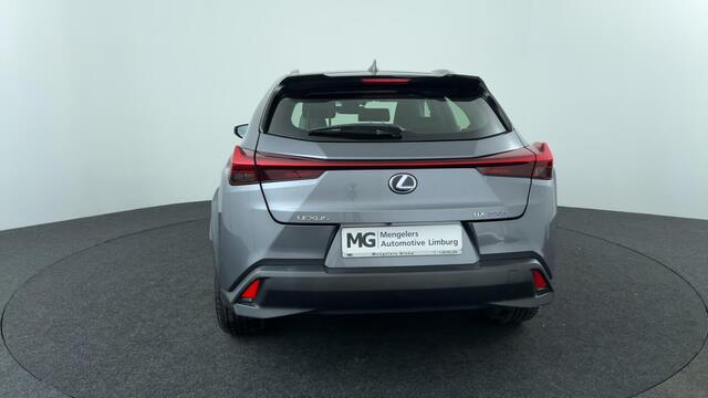 Lexus Ux 250h Business Line Pro