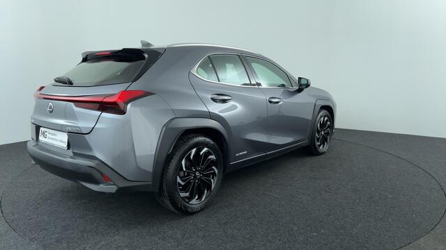 Lexus Ux 250h Business Line Pro