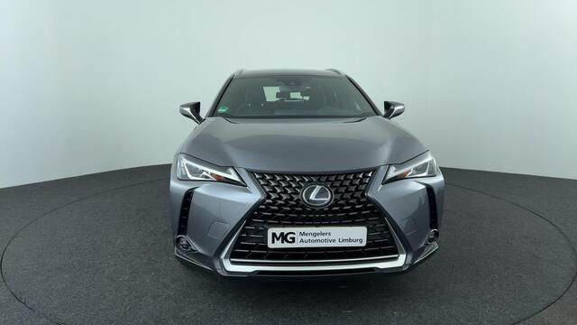 Lexus Ux 250h Business Line Pro