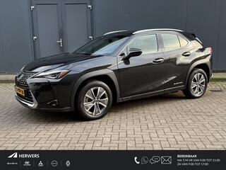 lexus-ux-300e-business-54-kwh---aut