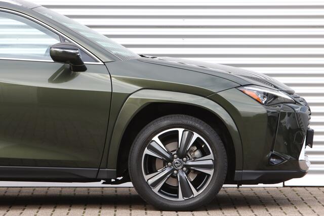 Lexus Ux 250h Executive President Schuifdak
