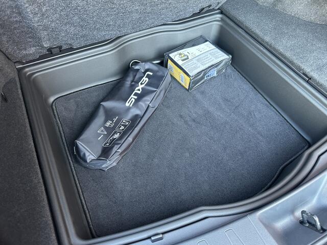 Lexus Ux 250h Premium Alcantara Climate Control Nieuwe Banden