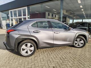 lexus-ux-250h-business-line--trekh