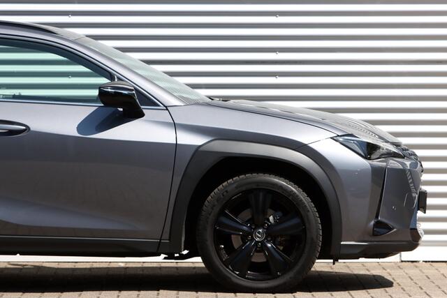 Lexus Ux 250h Black Line Leer