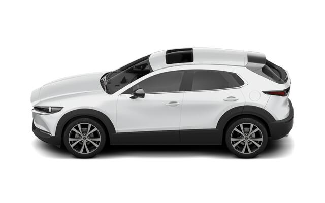 Mazda CX-30 e-Skyactiv G 140 6AT Nagisa | 7-inch digitale meterset | Achterklep automatisch openen/sluiten | Achteruitrijcamera