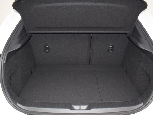 Mazda CX-30 2.0 SA-X 100th ANNIVERSARY AUTOMAAT LEER SCHUIFDAK