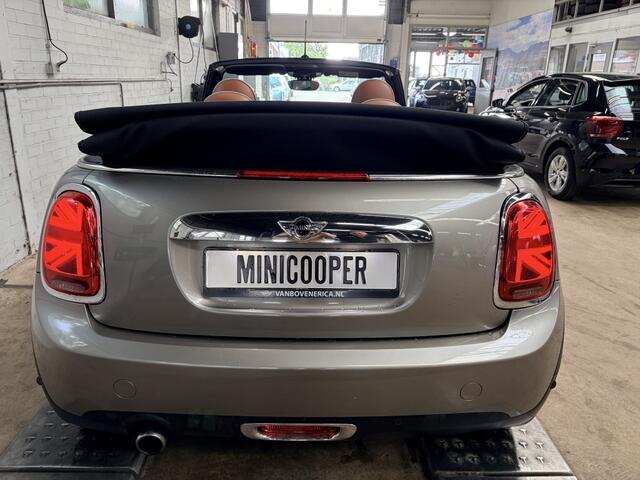 Mini COOPER Cabrio Chili Leder Cruise Clima Navi Pdc
