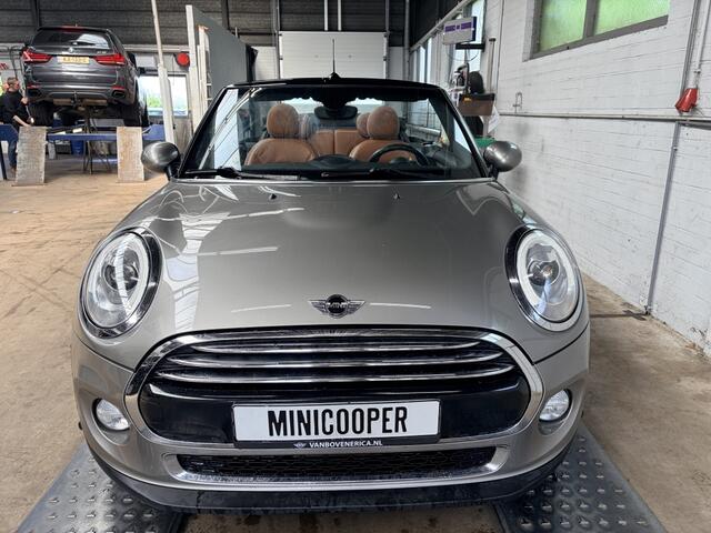 Mini COOPER Cabrio Chili Leder Cruise Clima Navi Pdc