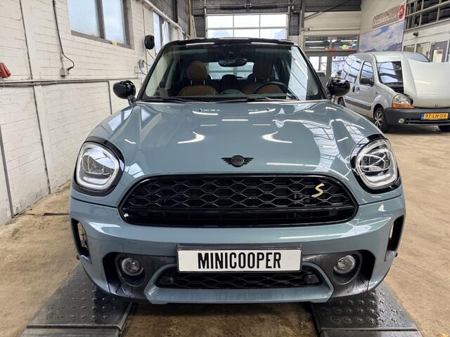 Mini COUNTRYMAN Mini Cooper SE ALL4 Hybride Sage Green Panodak Leder Adapt Cruise