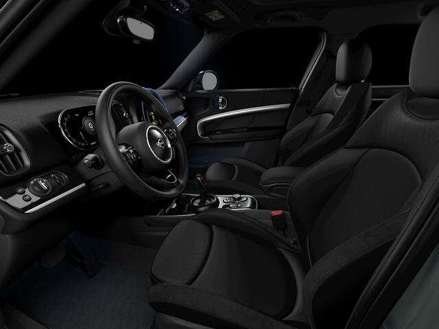 Mini COUNTRYMAN 2.0 Cooper S ALL4 | Navi | Panorama | Leder | ACC | Camera | 18"LM | Sage Green