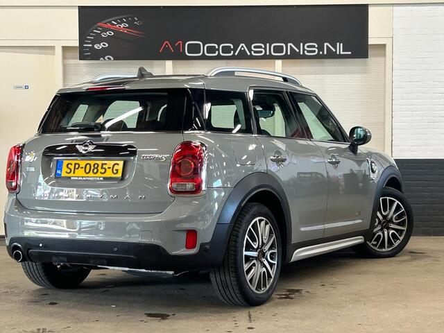 Mini COUNTRYMAN 1.5 Cooper ALL4 Salt