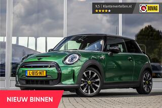 mini-electric-mini-business-edition
