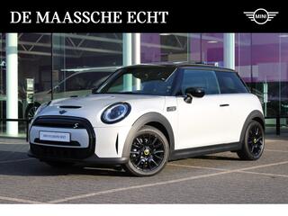 mini-electric-classic---panoramadak