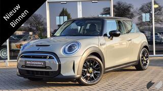 mini-electric-mini-business-edition