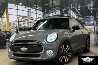 mini-mini-1.5-chili-aut-leder-pano-