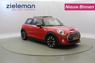 mini-mini-yours-33-kwh---panorama,